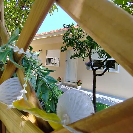Charlie Apartamento Zadar